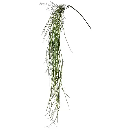 ΡΙΖΑ ΚΡΕΜΑΣΤΗ ΓΚΡΑΣΣ ΠΡΑΣΙΝΟ - Y134cm 48/192ΚΙΒ